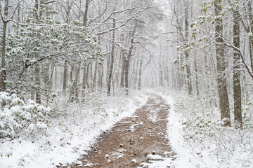 Winter hiking trail