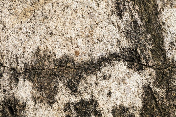 old concrete wall.