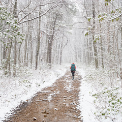 Obraz premium Hiker on the trail in winter