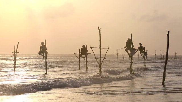 Sri Lanka stilt fisherman at sunset