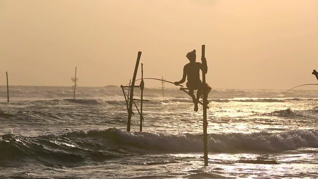 Sri Lanka stilt fisherman at sunset