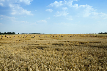 Photo agriculture, Europe 