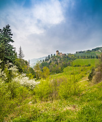Fototapeta na wymiar the green countryside around the fortress