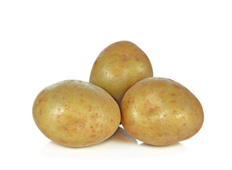 Potatoes on the white background. New harvest
