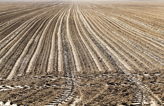 plowed land for cereal  