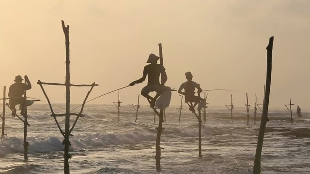 Sri Lanka stilt fisherman at sunset