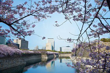 Obraz premium 大阪城南外堀の六番やぐらと桜