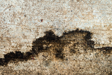 Stain on old cement texture