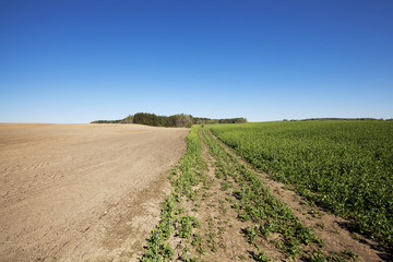 Fototapeta na wymiar plowed for crop land 
