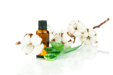 Spa set isolated on white background