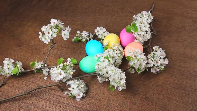 Easter eggs on a flowering  colored eggs spring flowers
