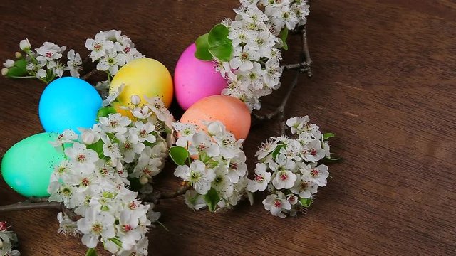 Easter eggs on a flowering  colored eggs spring flowers
