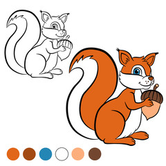 Coloring page. Color me: squirrel.  Little cute squirrel stands and holds an acorn in the hands..