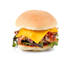 Hamburger isolated on white background