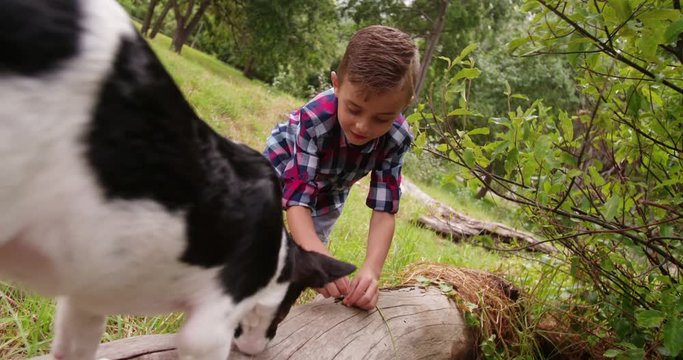 Boy with missing teeth smiling whole playing with his puppy dog