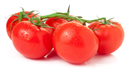 branch of tomatoes isolated on white