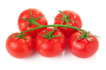 branch of tomatoes isolated on white