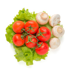 branch of ripe tomatoes on a white background