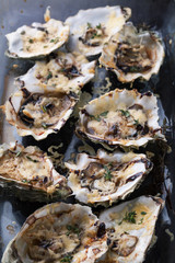 Baked oysters with cheese sauce and thyme