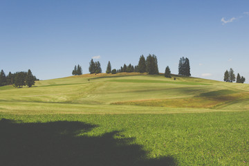 Allgäu, Hügellandschaft