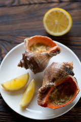 Julienne made of rapana meat and other seafood, close-up