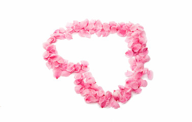 pink heart from the petals isolated