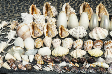 Seashells souvenirs for sale on the stand in Kuta Beach, Bali, Indonesie.