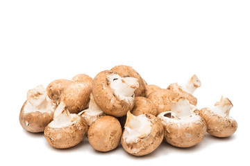 Brown champignon mushroom