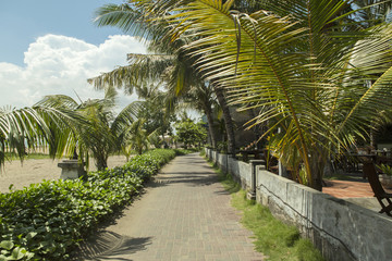 Fototapeta na wymiar Kuta Beach palm coat, luxury resort with swimming pool and sunbeds. Bali, Indonesia