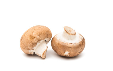Brown champignon mushroom