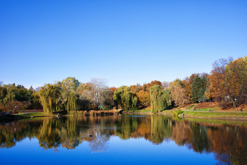 Fototapeta na wymiar Lake in Autumn Moczydlo Park in Warsaw