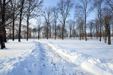 road in the winter 