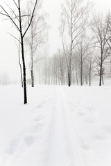 Fototapeta premium winter road , track.