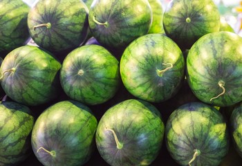 Many big sweet green watermelons and one cut watermelon