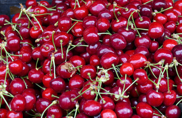 ripe cherries