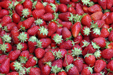 ripe strawberries
