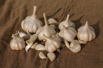 Few garlic bulbs on brown cloth