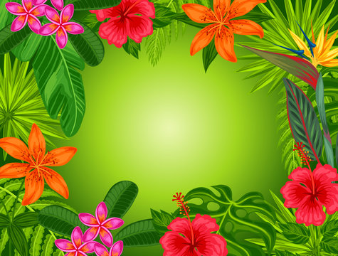 Background with stylized tropical plants, leaves and flowers. Image for advertising booklets, banners, flayers, cards
