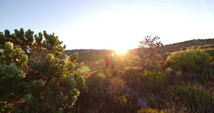 Fit couple hiking with backpacks exploring nature