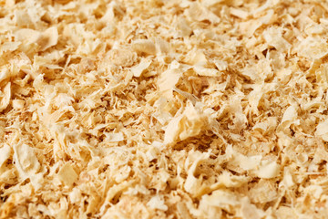 Wooden sawdust background