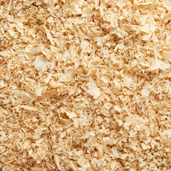 Wooden sawdust texture