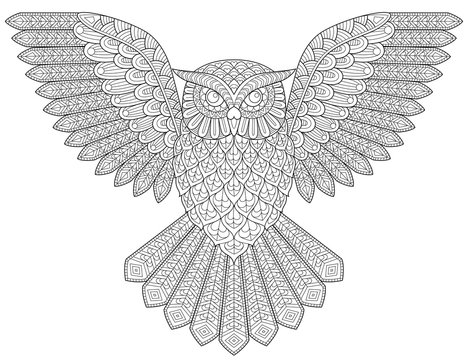 Flying owl. Adult antistress coloring page. Black and white hand drawn illustration for coloring book