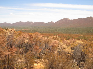 flinders ranges, south australia
