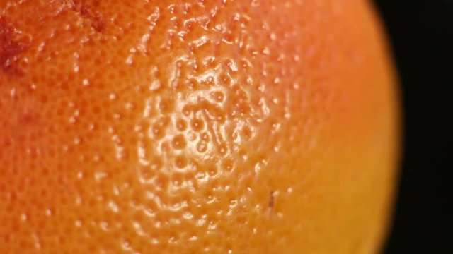 grapefruit close up in studio