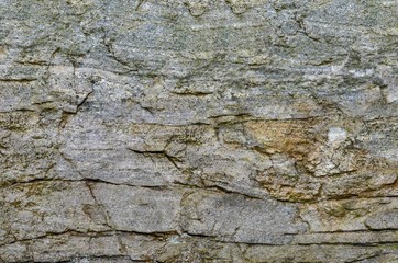 texture of stone on background