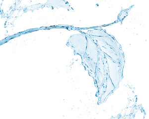 Leaf made of water splash