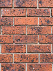 beautiful wall of decorative red brick