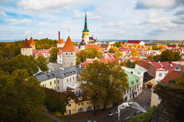 View top on historic centre of Tallinn in the Estonia. Red roofs of the old houses of the European city Tallinn. The ancient architecture. Roof with wings.