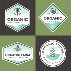 Set of organic food logo, badges, banners, emblem with pattern. Package design. Clean food. Natural food, healthy fresh food, Vegan, Farm products. linear and flat style. Vector illustration.