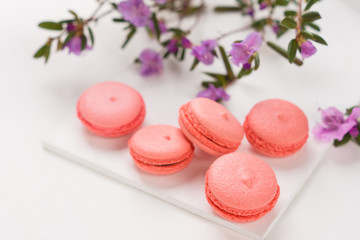 Bright macaroons on the wooden background. Shallow depth of field.